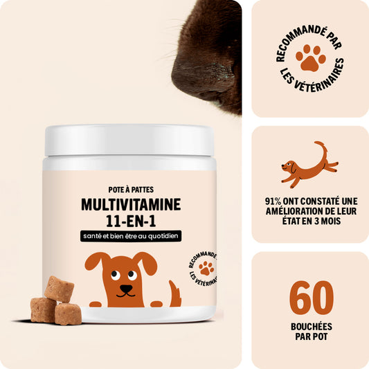 Bouchée gourmande quotidienne multi-vitaminée