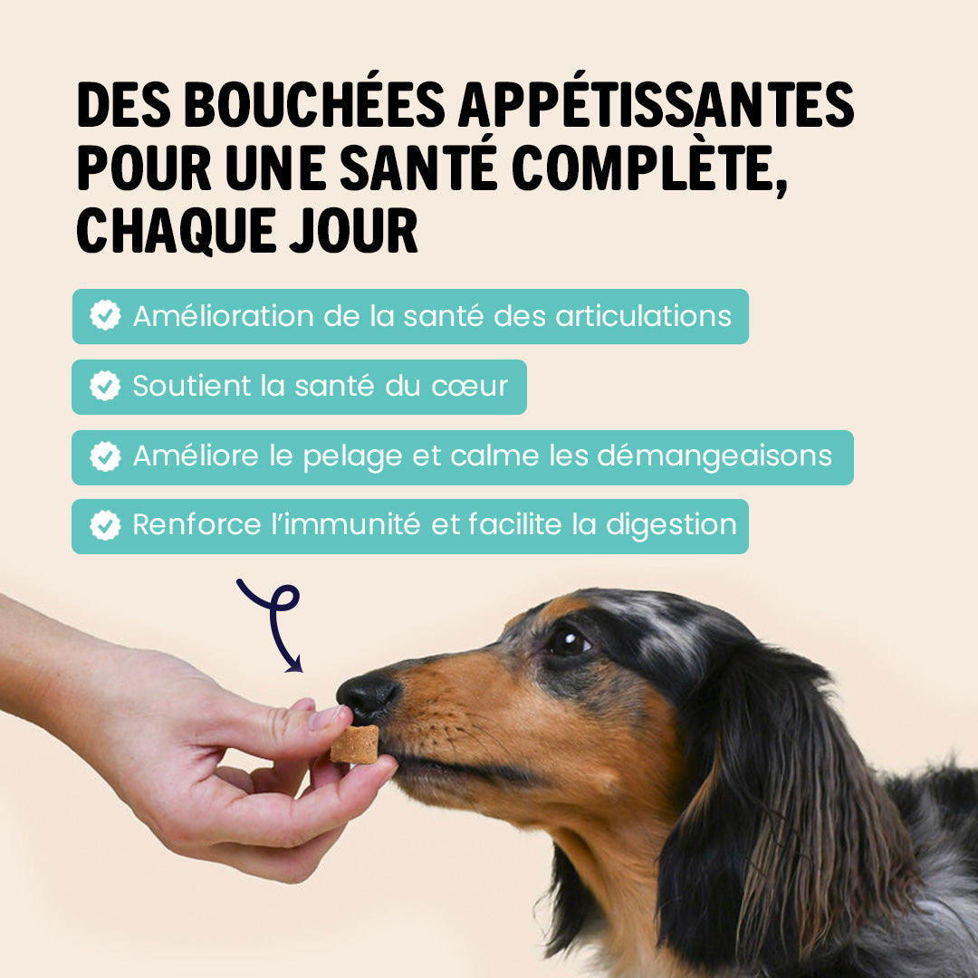 Bouchée gourmande quotidienne multi-vitaminée