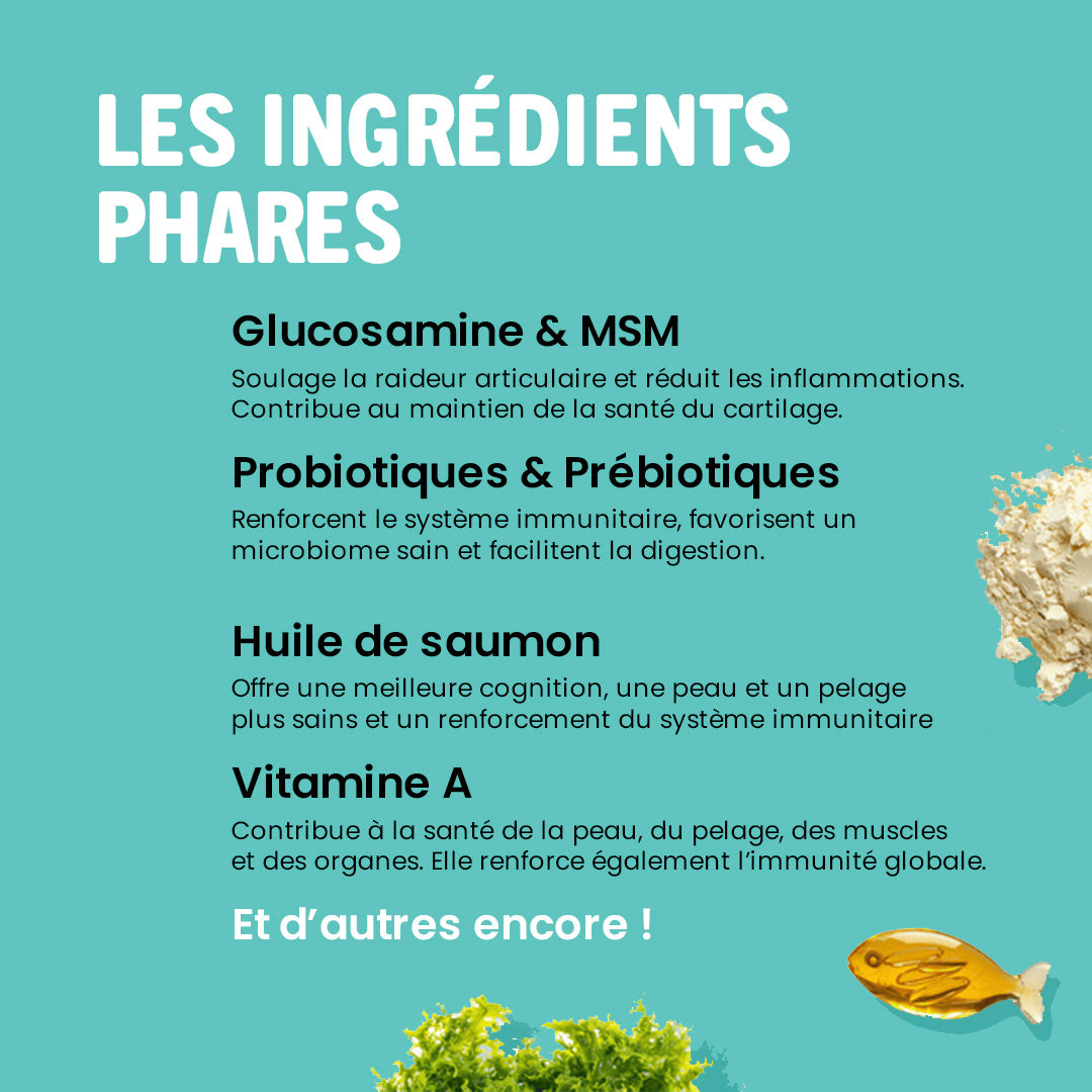 Bouchée gourmande quotidienne multi-vitaminée