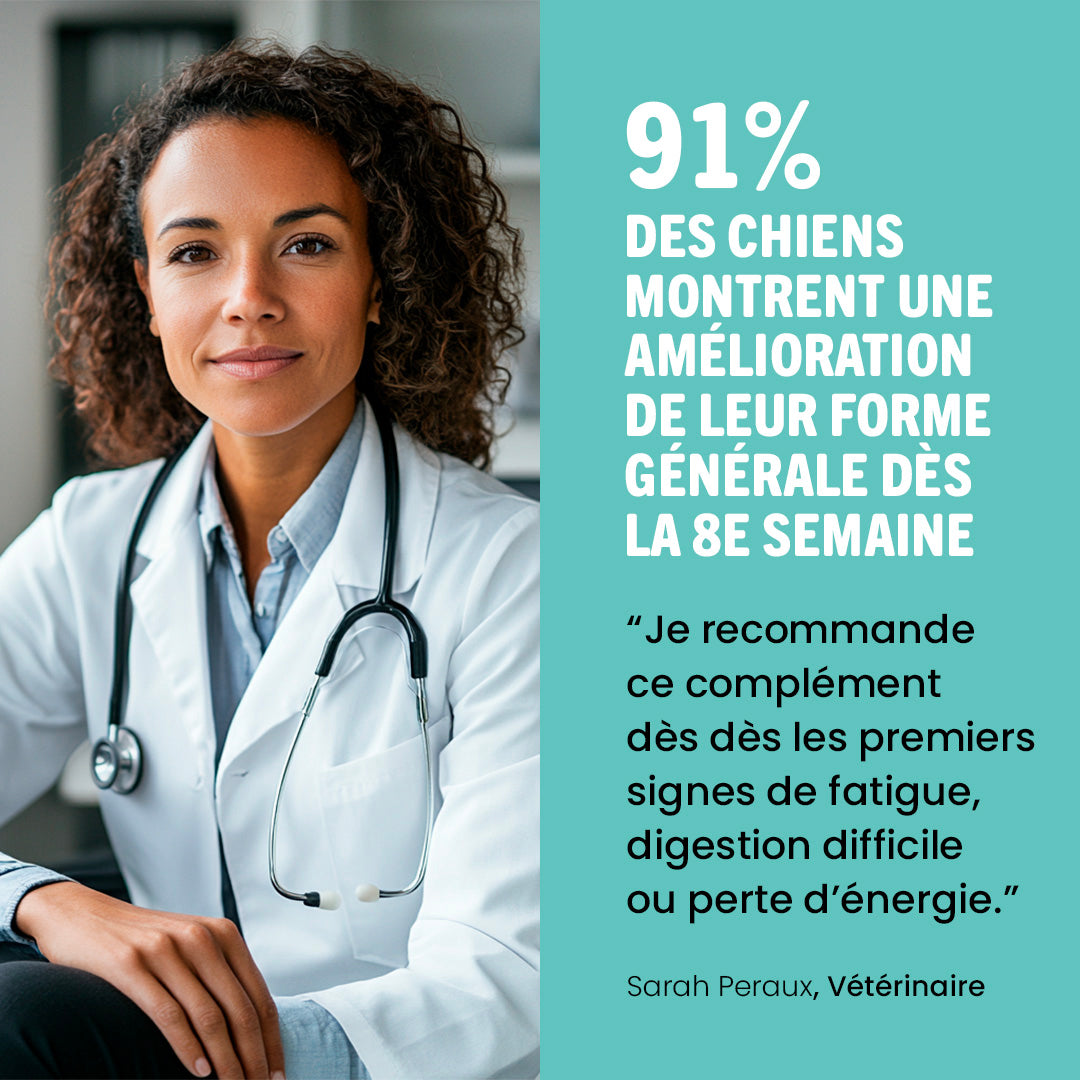 Bouchée gourmande quotidienne multi-vitaminée