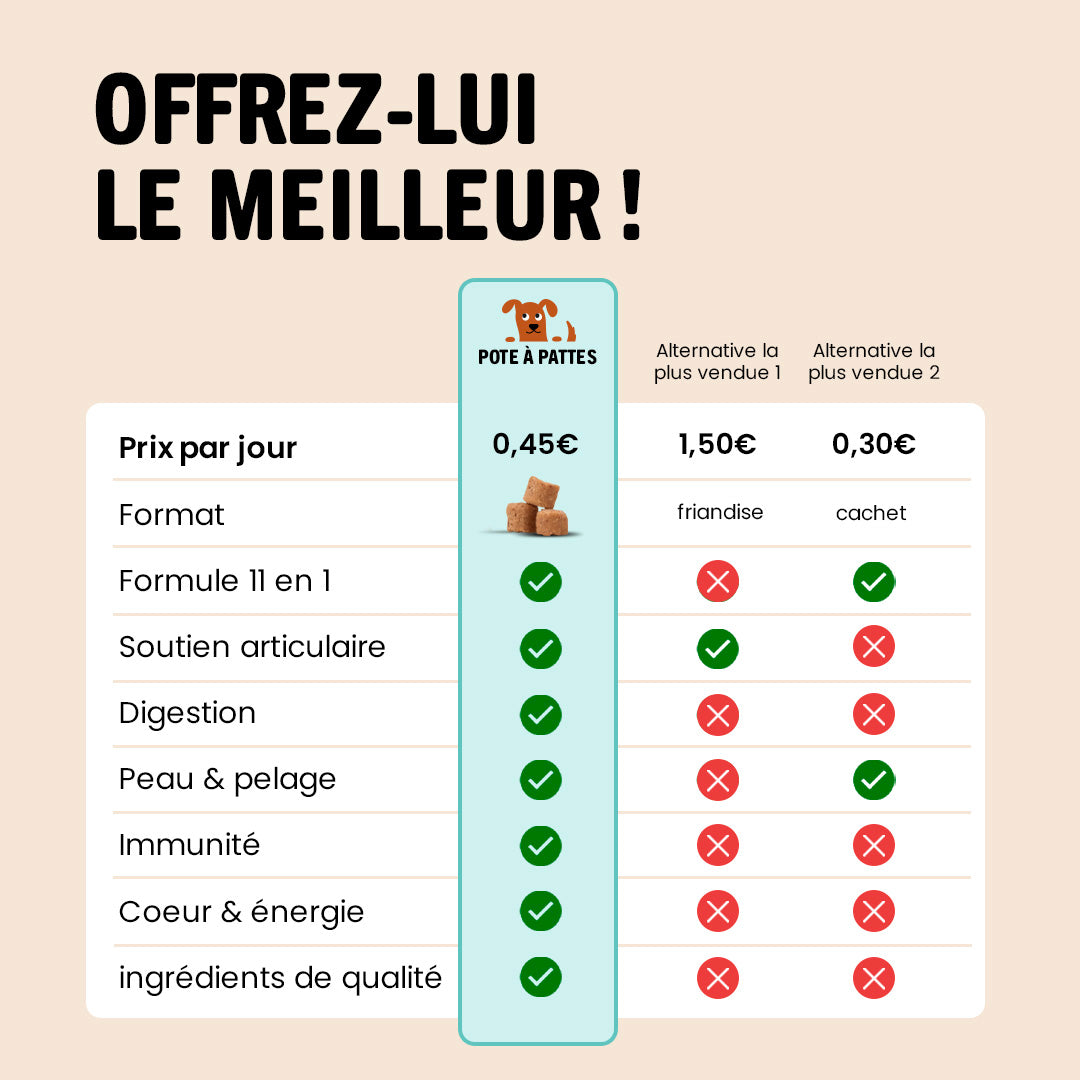 Bouchée gourmande quotidienne multi-vitaminée