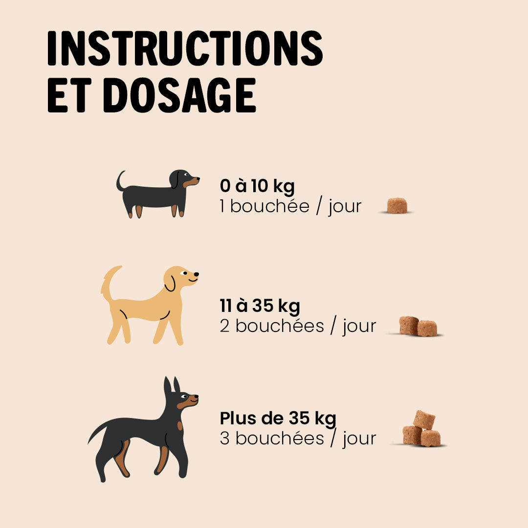 Bouchée gourmande quotidienne multi-vitaminée